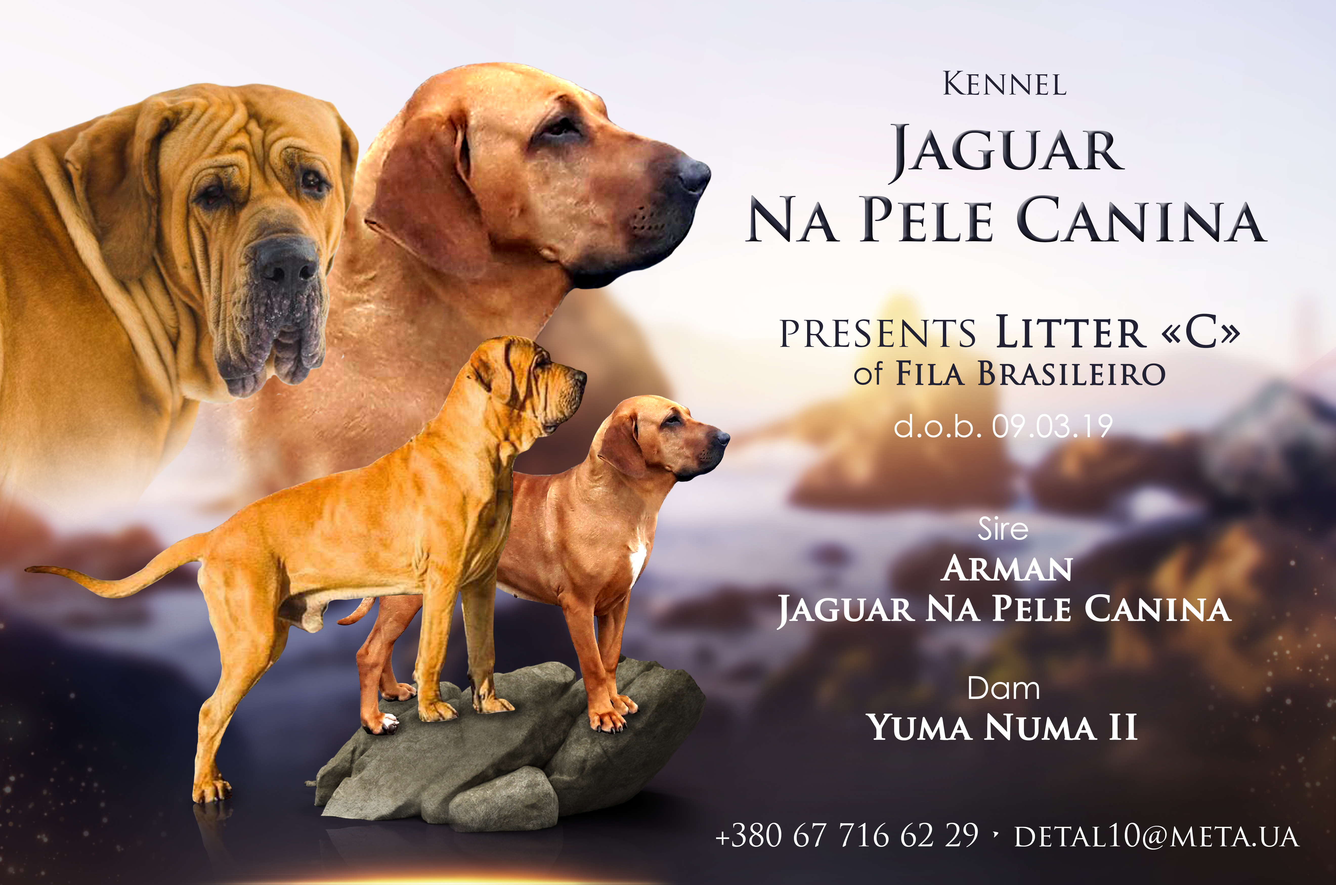 9.03.2019 Yuma Numa II